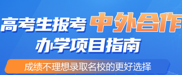 中外合作办学（新）